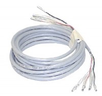 Extensions/Leads